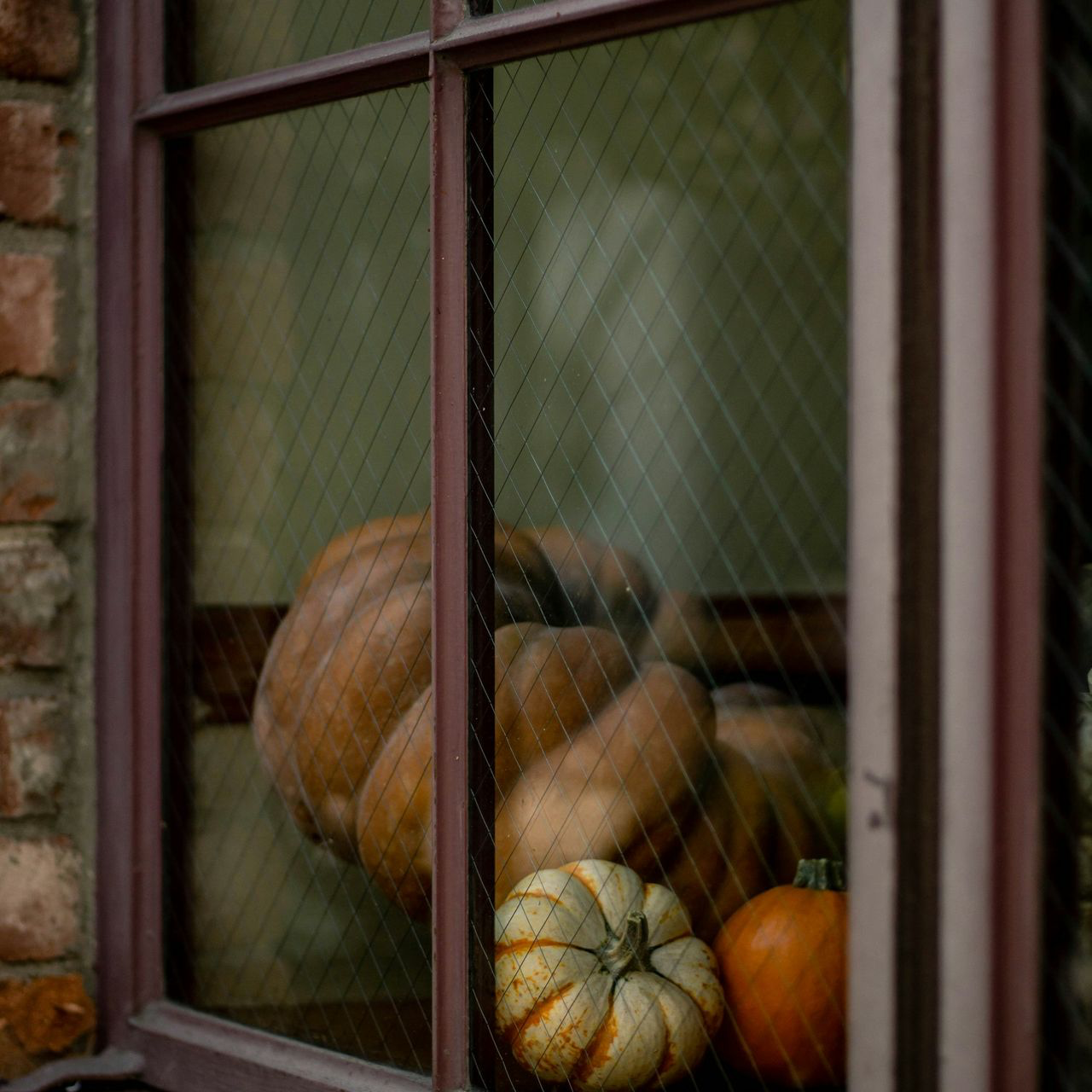 squashes beside window